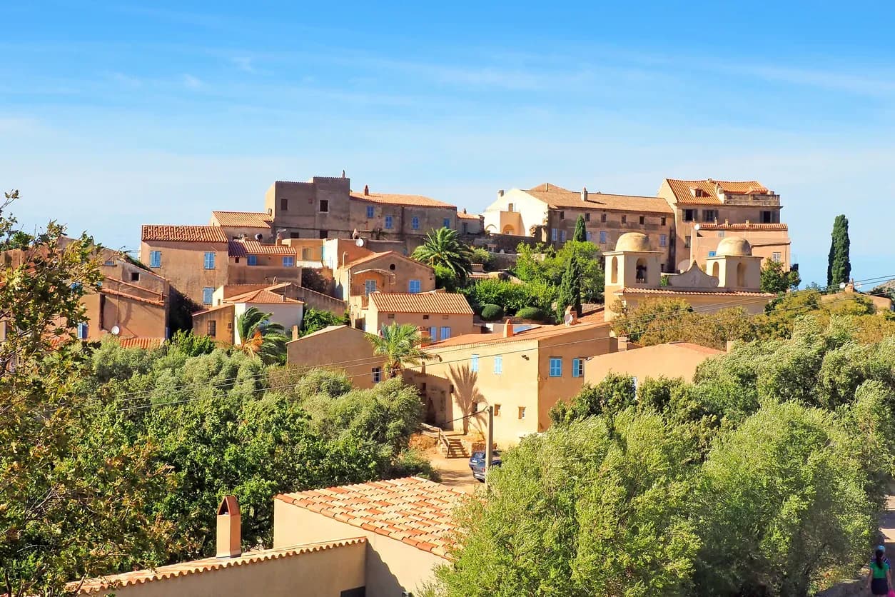 CALVI